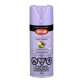 COLORmaxx Paint and Primer - Aerosol - 340 g - Gum Drop