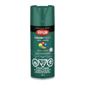 COLORmaxx Paint and Primer - Aerosol - 340 g - Hunter Green