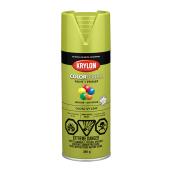 Krylon Colormaxx Acrylic Paint and Primer in One Aerosol Spray - Gloss - Ivy Leaf - 340 g