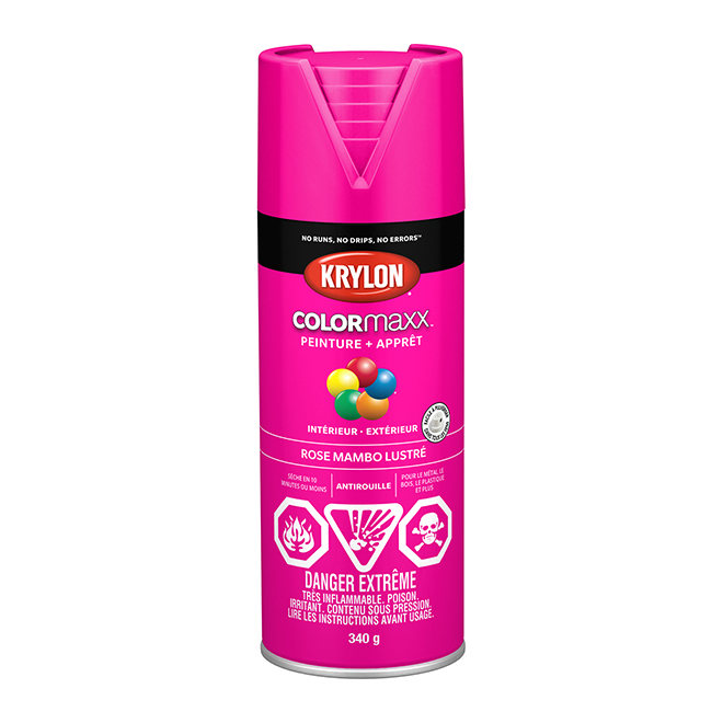 Peinture et apprêt tout-en-un COLORmaxx de Krylon, à pulvériser, lustré, rose mambo, 340 g