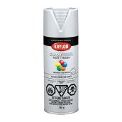 COLORmaxx Paint and Primer - Aerosol - 340 g - Pewter Gray