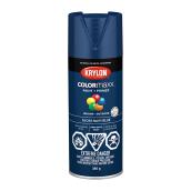 COLORmaxx Paint and Primer - Aerosol - 340 g - Mambo Pink