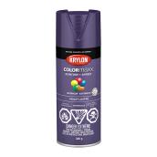 Peinture et apprêt COLORmaxx, aérosol, 340 g, violet lustré