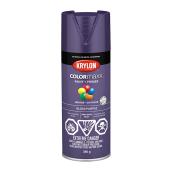 COLORmaxx Paint and Primer - Aerosol - 340 g - Gloss Purple