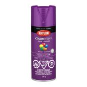 Krylon Colormaxx Acrylic Paint and Primer in One Aerosol Spray - Gloss - Rich Plum - 340 g