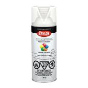 COLORmaxx Paint and Primer - Aerosol - Flat Crystal Clear