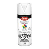 ColorMaxx Paint and Primer - Aerosol - 340 g - Flat White