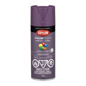 Peinture et apprêt tout-en-un COLORmaxx de Krylon, à pulvériser, mat, aubergine, 340 g