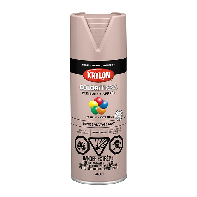 Peinture et apprêt Krylon Colormaxx, 340 g, rose sauvage