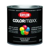 COLORmaxx Water-Based Satin Black Interior/Exterior Enamel Paint (236 mL)