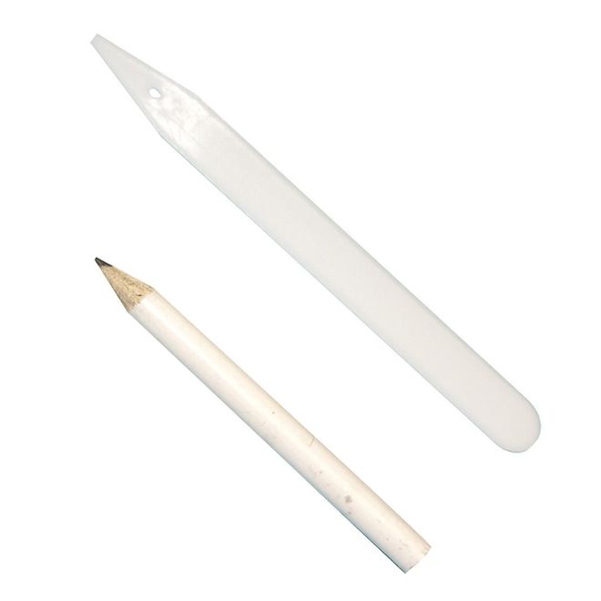 Étiquettes d'identification des plantes DHLINE en plastique blanc pour jardin avec crayon, 30 mcx