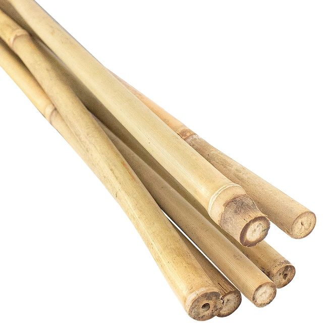 DH Line 6-ft Natural Bamboo Plant Stakes - 6/Pack