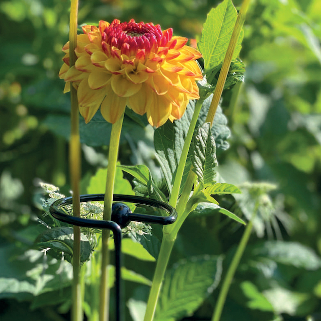 Peacock Single Rod Plant Stand in Green Metal - 39-in