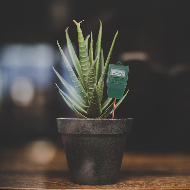VALU+ Moisture Meter for Indoor Plants