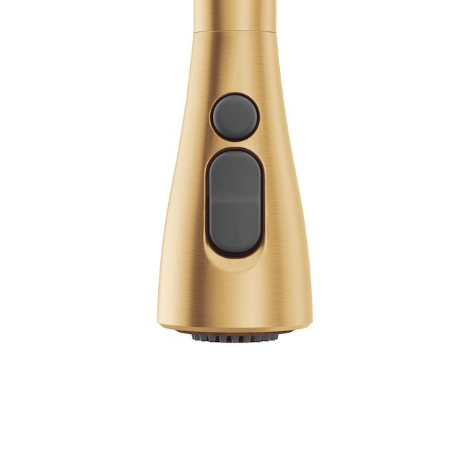 MOEN Arlia Kitchen Faucet with 1 Handle and Pull-Down Spout - Gold