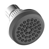 Project Source Chrome Shower Head - Single Spray - 2.6-in