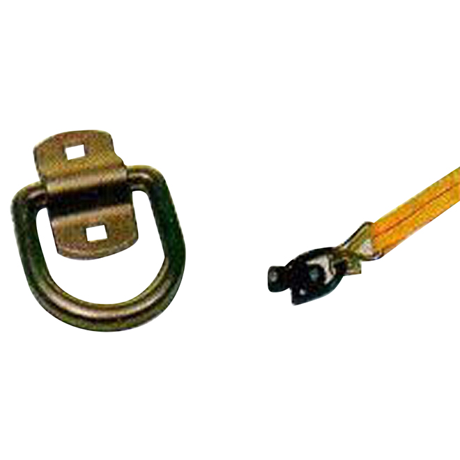 Anchor D-Ring Belt