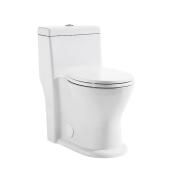 Project Source 1-Piece Toilet with Dual Flush - 4-L/6-L - White