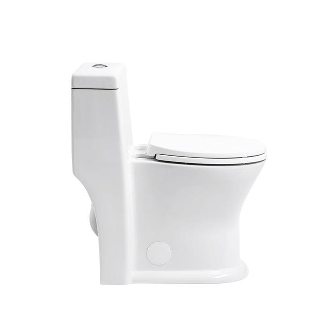 Project Source Dual Flush 1-Piece White Toilet 4 L/6 L