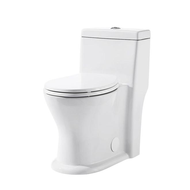 Project Source Dual Flush 1-Piece White Toilet 4 L/6 L