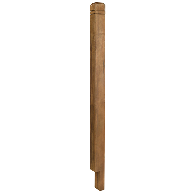 Poteau de rampe en bois traité, brun, 3 1/4" x 54"