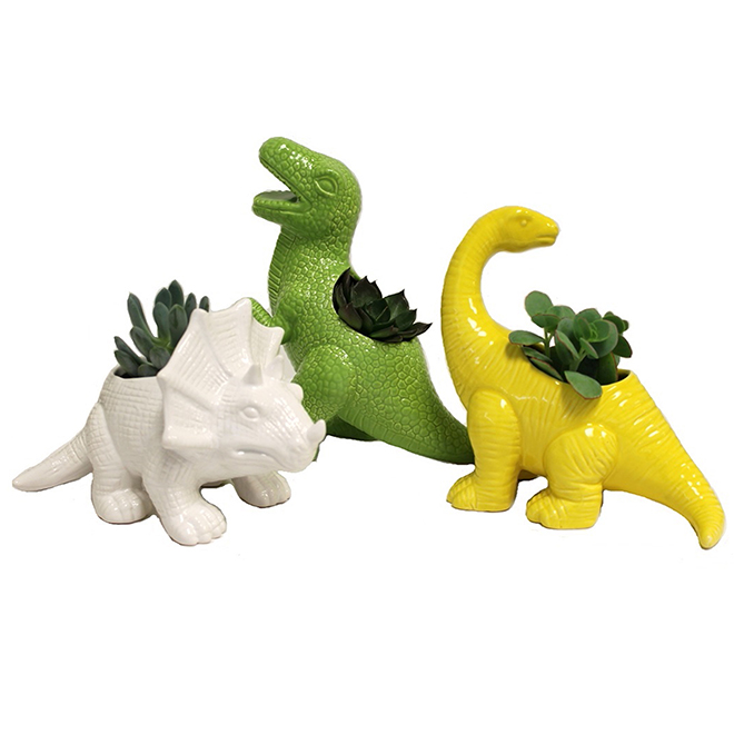 Succulent Plant - 2" - Ceramic Dinosaur | RONA