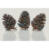 Holiday Living Pinecone Ornaments with Clip - Chill Factor - 4.5-in - Brown and Blue - 3/Pack