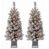 Holiday Living Set of 2 Prelit Flocked Porch Tree - 35 Clear Lights - 137 Tips - Silver Square Pot