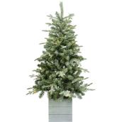 Holiday Living 4-ft Pre-Lit Frasier Fir Rightside-Up Artificial Tree with 50 Lights Constant Warm White LED