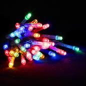 Holiday Living Indoor Battery Operated Light Set 50 LED 5 mm - Multicolour