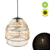 Danson Decor 1-Light Rattan/Metal Solar Hanging LED Lamp