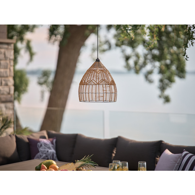 Danson Decor 1-Light Rattan Metal Solar Hanging LED Lamp