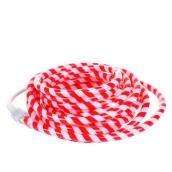 CELEBRATIONS BY L&CO 18-ft 120-Light Red/White LED Candy Cane Rope Light