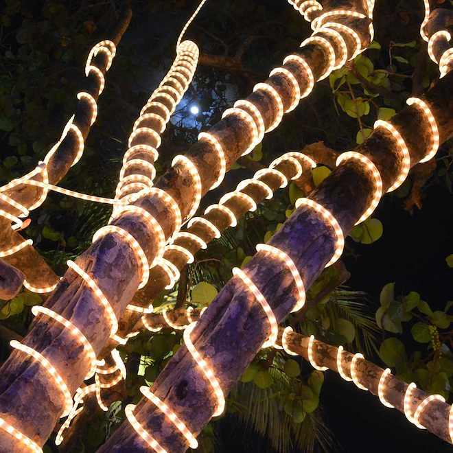 Landon & Co. 30-ft LED String Lights - Warm White