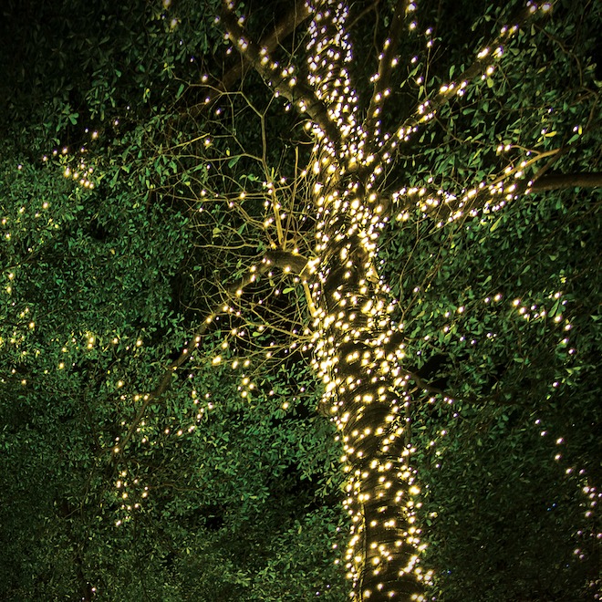 Landon & Co. Solar String Lights 41-ft w/ 500 LED Lights and 8 Functions - Warm White