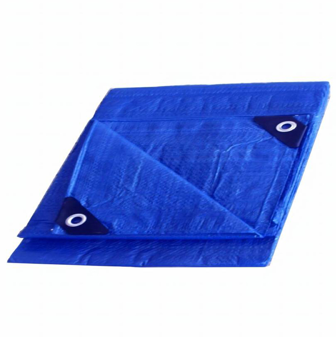 VALU+ Blue Polyethylene Tarp - 30 x 50-ft