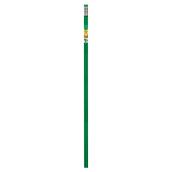 Miracle-Gro Garden Stake - Steel and Plastic Coating - 4-ft - Green - 2 Pack