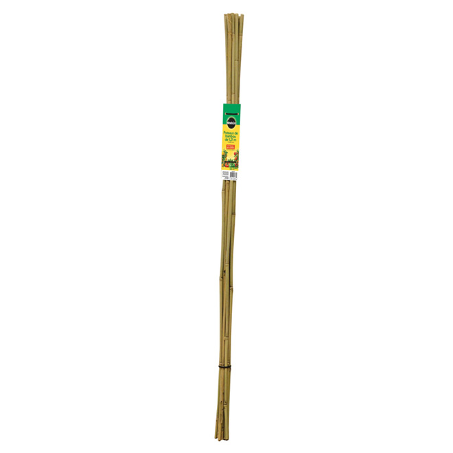 Tuteur de jardin Miracle-Gro, bambou, 4 pi, paquet de 12