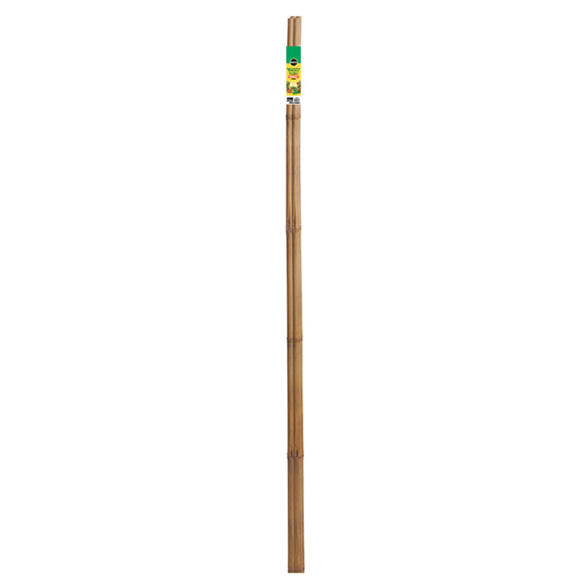 Miracle-Gro Garden Stake - Bamboo - 5-ft - 4-Pack