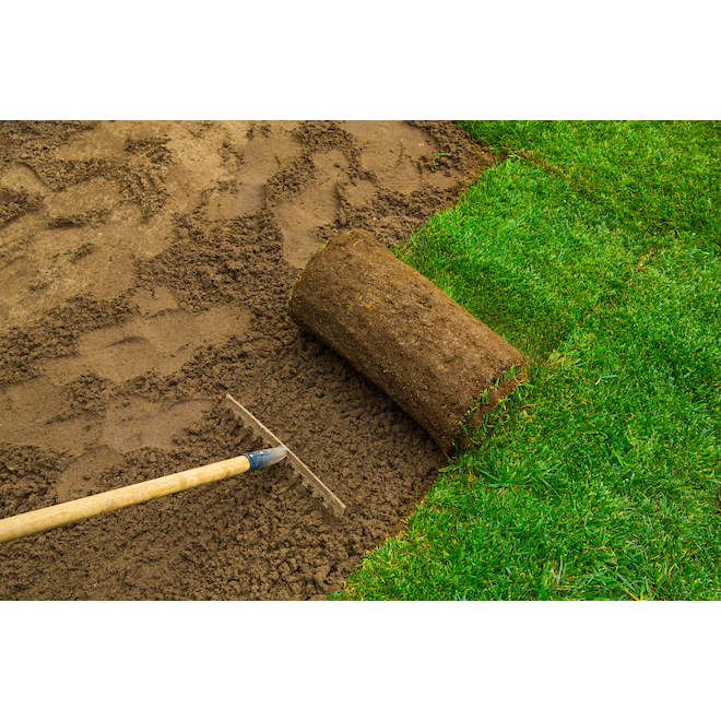Sod Roll - 2-ft x 4-ft - Green