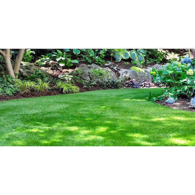 Sod Roll - 2-ft x 4-ft - Green