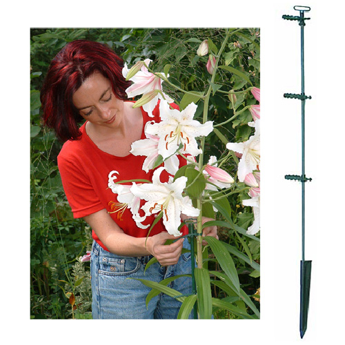 Plant Stake - "+Plus" Plant Stake