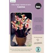 Tasc Canna Hybrid Angel Martin Bulbs - 3 Bulbs