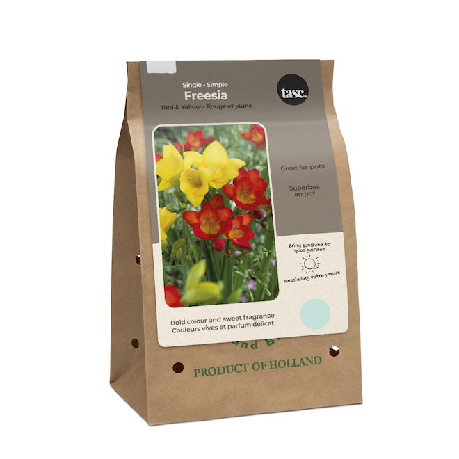 Tasc Single Red and Yellow Freesias - 12 Bulbs per pack MIS0019 | RONA