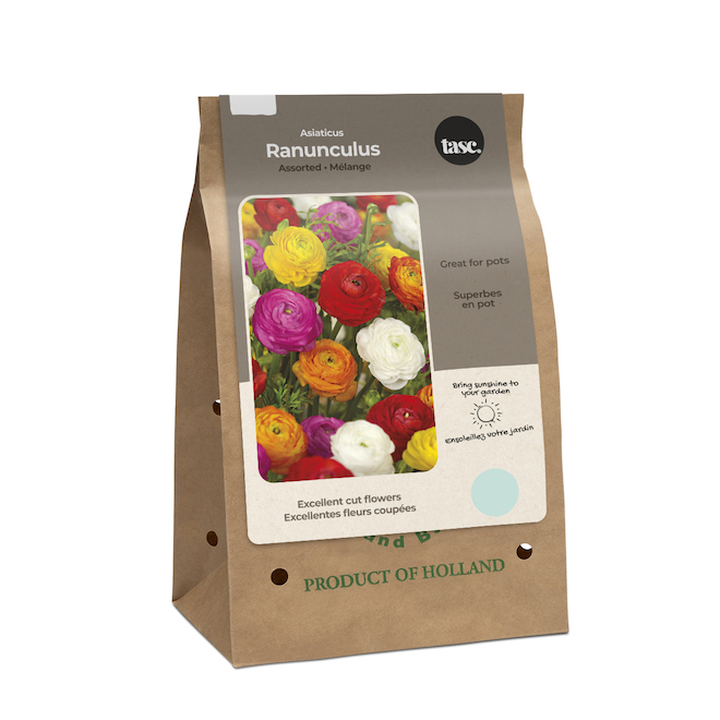 Tasc Assorted Ranunculus Bulbs 12/Pack MIS0035 RONA