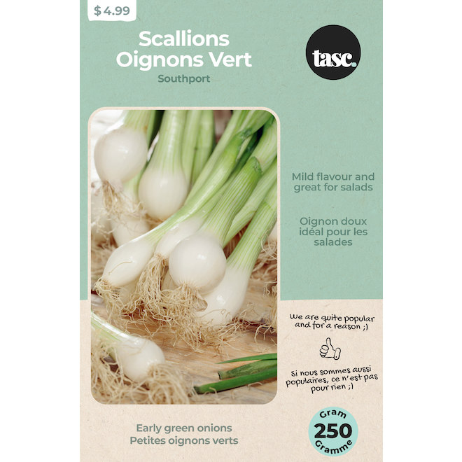 Tasc Scallions Southport Bulbs - 100 Bulbs