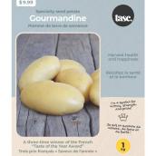 Tasc 'Gourmandine' Potato Seeds - 1 kg