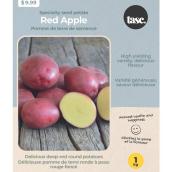 Tasc 'Red Apple' Potato Seeds - 1 kg