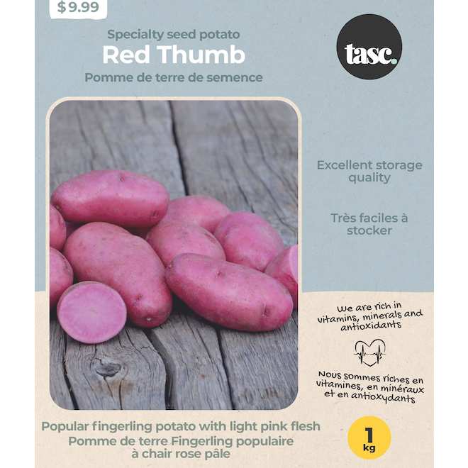 Tasc 'Red Thumb' Potato Seeds - 1 kg