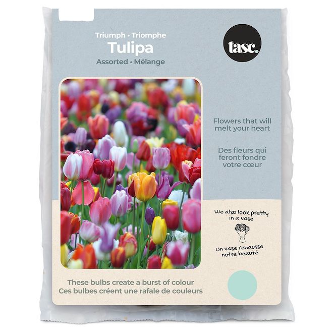 Tasc Triumph Assorted Tulip Bulbs - Pack of 20